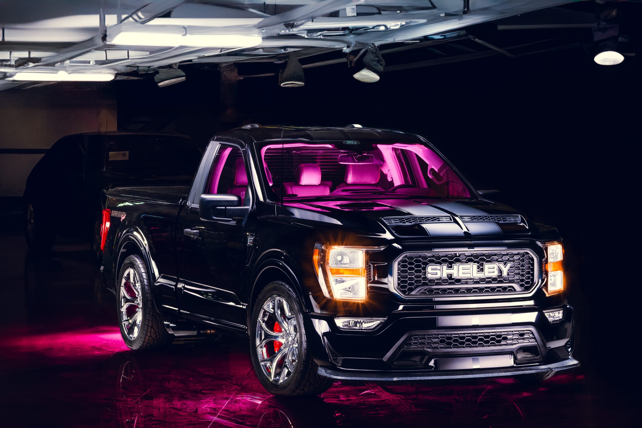 Copia de ALTA_Shelby-1